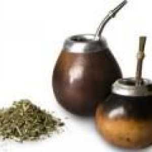 Mate (чай) - полезни свойства, използване на и противопоказания