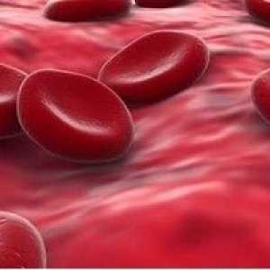 Норма на хемоглобина в кръвта