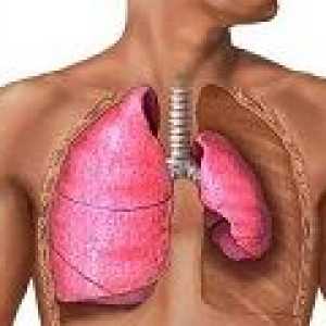 Първична и вторична белодробна туберкулоза, причинява лечението