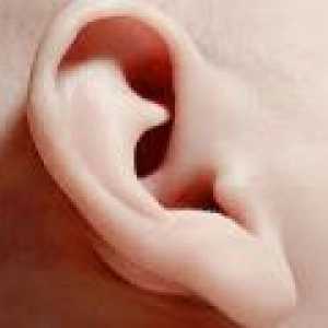 Защо вцепенен ухото? причини