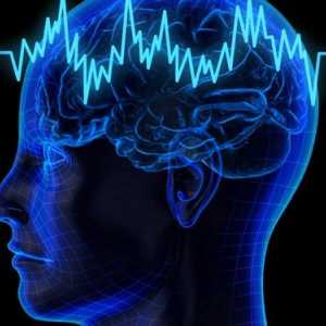 Причини и симптоми на епилепсия