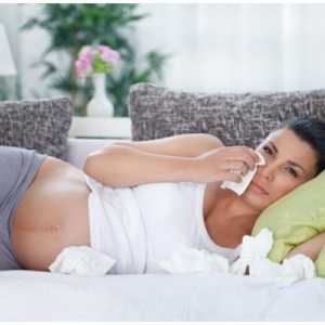 Настинките по време на бременност