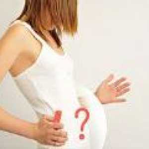Общи митове за бременността