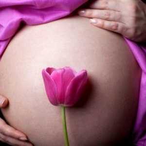 Изчислете продължителността на бременност седмица по седмица-дневен срок от датата на зачеване