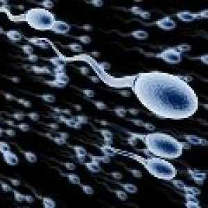 Спермата - подготовка за анализ, правилата за доставка, декодиране
