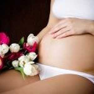 Bright избор на бременността, причини, лечение