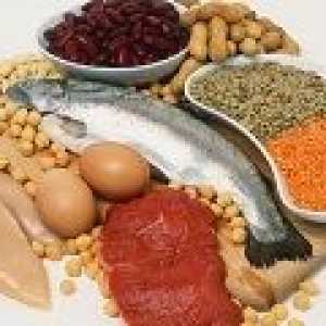 Какви храни съдържат протеин?