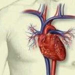 Възстановяване на сърдечна тъкан след инфаркт на миокарда
